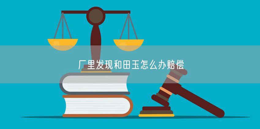 厂里发现和田玉怎么办赔偿