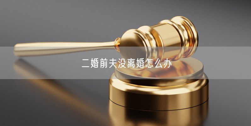 二婚前夫没离婚怎么办
