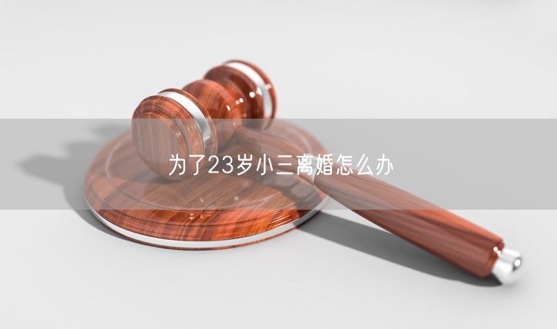 为了23岁小三离婚怎么办