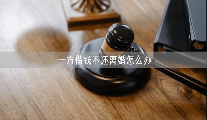 一方借钱不还离婚怎么办