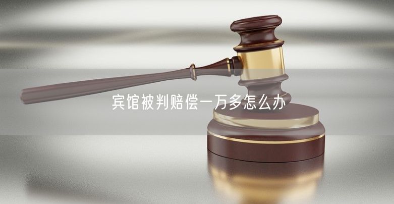 宾馆被判赔偿一万多怎么办