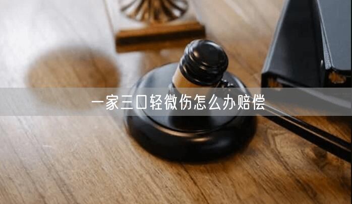 一家三口轻微伤怎么办赔偿