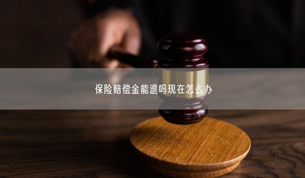 保险赔偿金能退吗现在怎么办