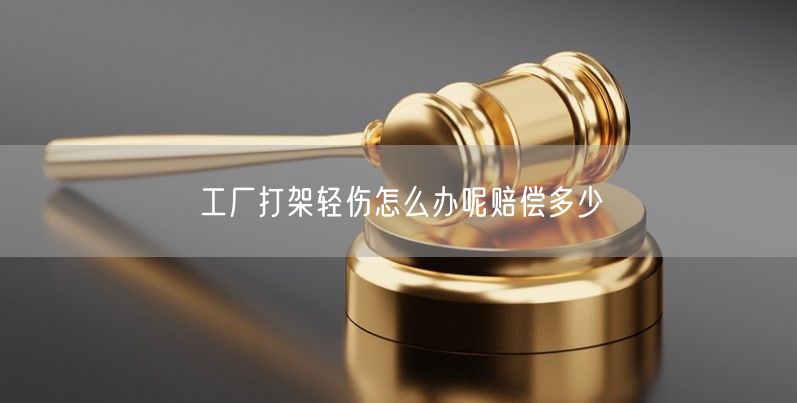 工厂打架轻伤怎么办呢赔偿多少