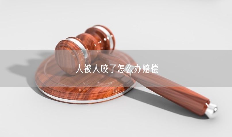 人被人咬了怎么办赔偿