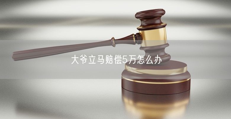 大爷立马赔偿5万怎么办