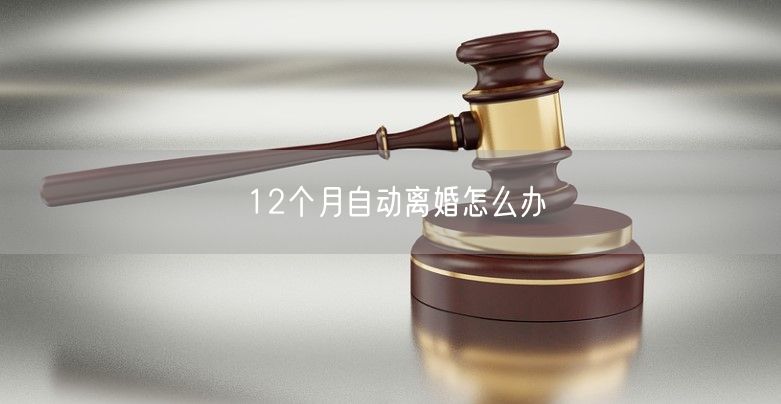 12个月自动离婚怎么办