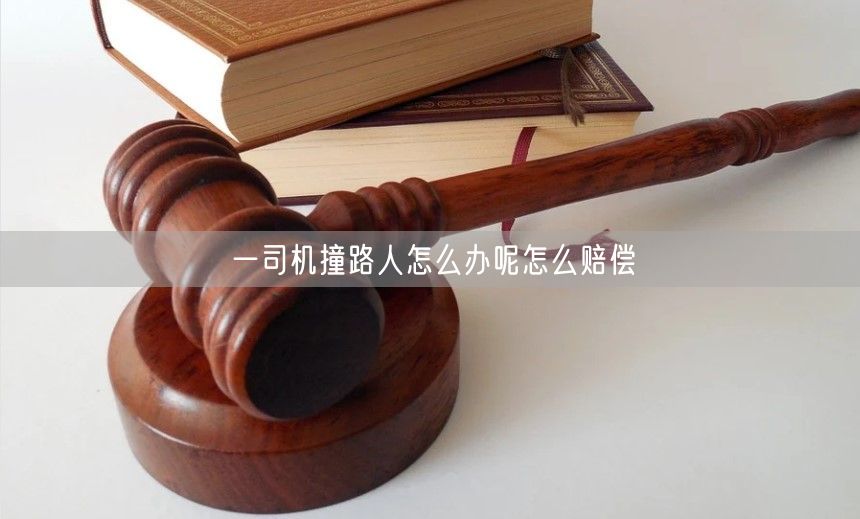 一司机撞路人怎么办呢怎么赔偿